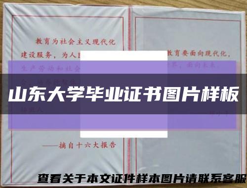 山東大學畢業證書圖片樣板縮略圖