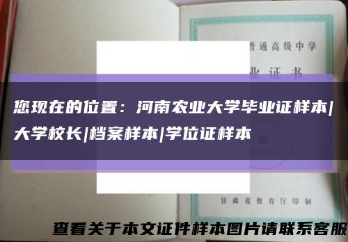 您現在的位置：河南農業大學畢業證樣本|大學校長|檔案樣本|學位證樣本縮略圖