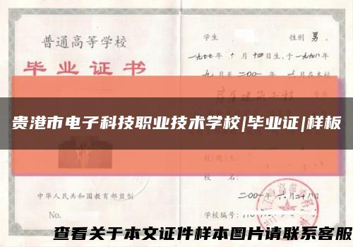 貴港市電子科技職業技術學校|畢業證|樣板縮略圖