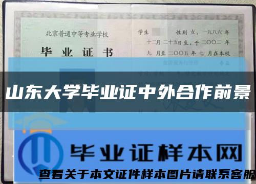 山東大學畢業證中外合作前景縮略圖