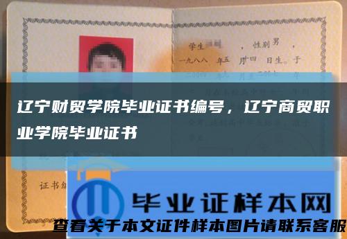 遼寧財貿學院畢業證書編號，遼寧商貿職業學院畢業證書縮略圖