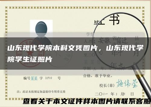 山東現代學院本科文憑圖片，山東現代學院學生證照片縮略圖