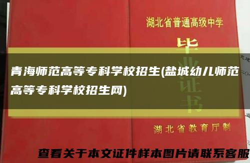青海師范高等?？茖W校招生(鹽城幼兒師范高等?？茖W校招生網)縮略圖