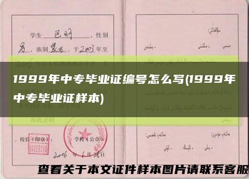 1999年中專畢業證編號怎么寫(1999年中專畢業證樣本)縮略圖