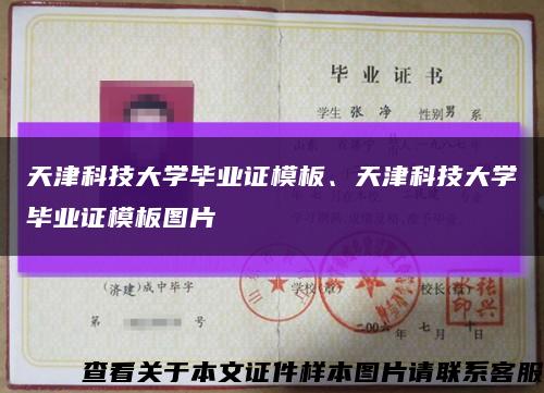 天津科技大學畢業證模板、天津科技大學畢業證模板圖片縮略圖