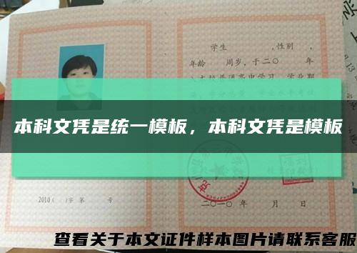 本科文憑是統一模板，本科文憑是模板縮略圖