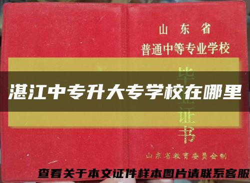 湛江中專升大專學校在哪里縮略圖