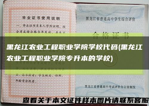 黑龍江農業工程職業學院學校代碼(黑龍江農業工程職業學院專升本的學校)縮略圖