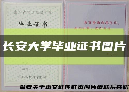 長安大學畢業證書圖片縮略圖