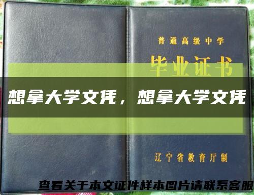 想拿大學文憑，想拿大學文憑縮略圖