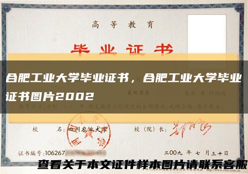 合肥工業大學畢業證書，合肥工業大學畢業證書圖片2002縮略圖