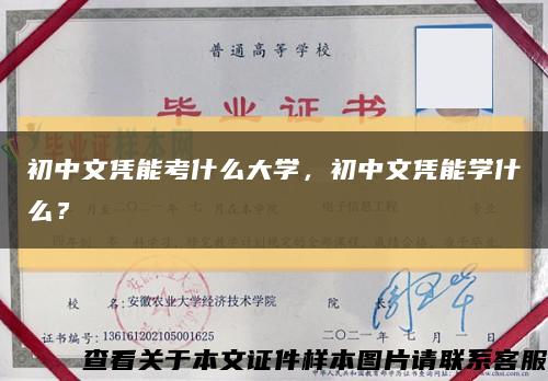 初中文憑能考什么大學，初中文憑能學什么？縮略圖