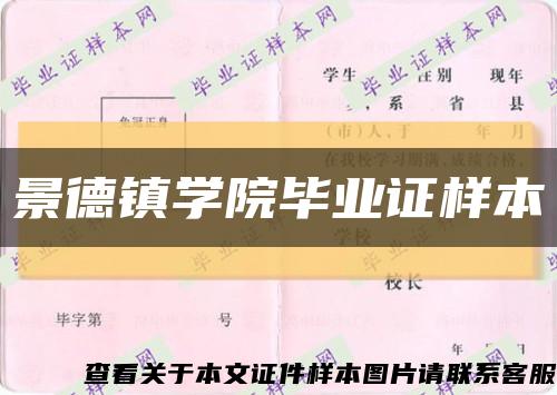 景德鎮學院畢業證樣本縮略圖