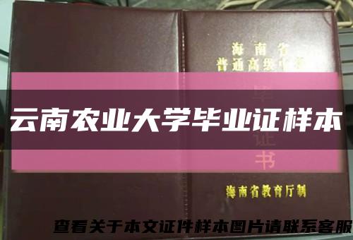 云南農業大學畢業證樣本縮略圖
