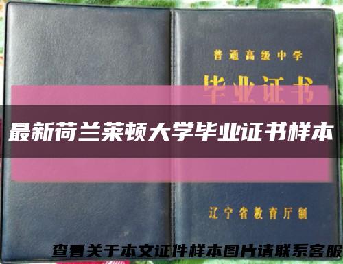 最新荷蘭萊頓大學畢業證書樣本縮略圖