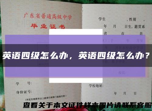 英語四級怎么辦，英語四級怎么辦？縮略圖