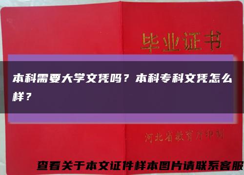 本科需要大學文憑嗎？本科?？莆膽{怎么樣？縮略圖