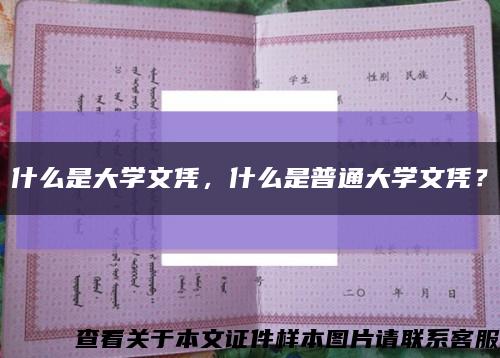 什么是大學文憑，什么是普通大學文憑？縮略圖