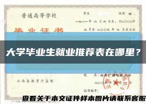 大學畢業生就業推薦表在哪里？縮略圖