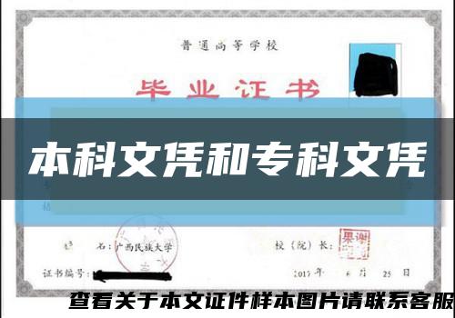 本科文憑和?？莆膽{縮略圖