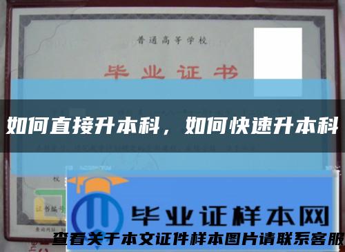 如何直接升本科，如何快速升本科縮略圖