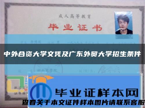 中外合資大學文憑及廣東外貿大學招生條件縮略圖