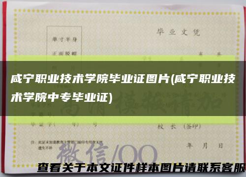 咸寧職業技術學院畢業證圖片(咸寧職業技術學院中專畢業證)縮略圖