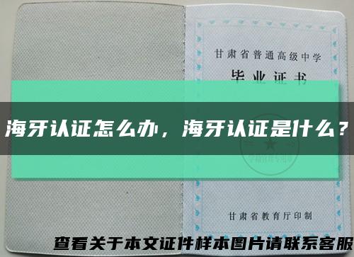 海牙認證怎么辦，海牙認證是什么？縮略圖
