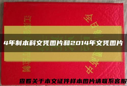 4年制本科文憑圖片和2014年文憑圖片縮略圖