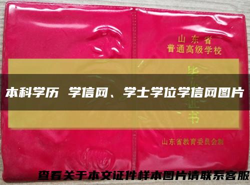 本科學歷 學信網、學士學位學信網圖片縮略圖