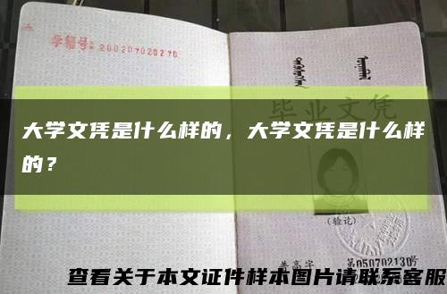 大學文憑是什么樣的，大學文憑是什么樣的？縮略圖