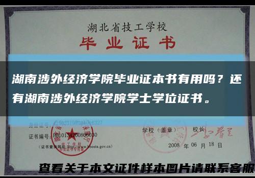 湖南涉外經濟學院畢業證本書有用嗎？還有湖南涉外經濟學院學士學位證書?？s略圖