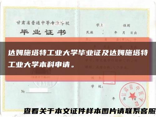 達姆施塔特工業大學畢業證及達姆施塔特工業大學本科申請?？s略圖