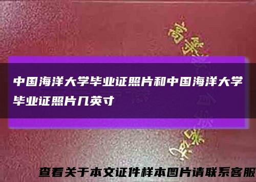 中國海洋大學畢業證照片和中國海洋大學畢業證照片幾英寸縮略圖