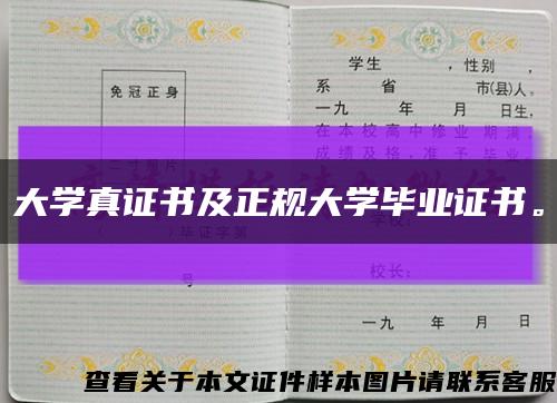 大學真證書及正規大學畢業證書?？s略圖