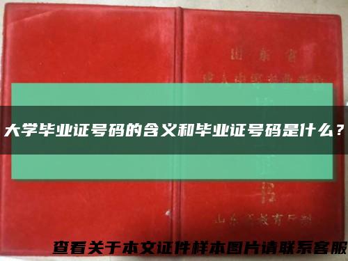 大學畢業證號碼的含義和畢業證號碼是什么？縮略圖