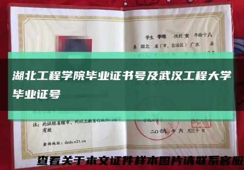湖北工程學院畢業證書號及武漢工程大學畢業證號縮略圖