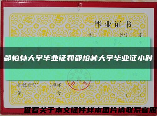 都柏林大學畢業證和都柏林大學畢業證小時縮略圖