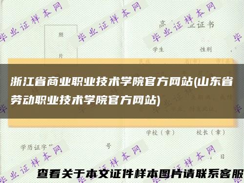 浙江省商業職業技術學院官方網站(山東省勞動職業技術學院官方網站)縮略圖