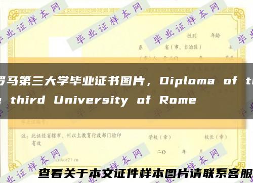 羅馬第三大學畢業證書圖片，Diploma of the third University of Rome縮略圖