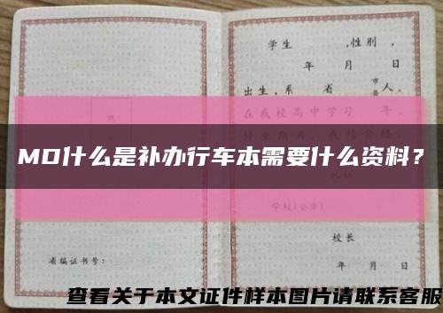 MD什么是補辦行車本需要什么資料？縮略圖
