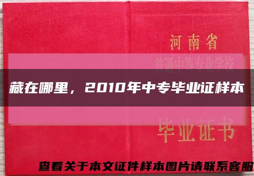 藏在哪里，2010年中專畢業證樣本縮略圖