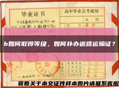 b如何取得等級，如何補辦道路運輸證？縮略圖