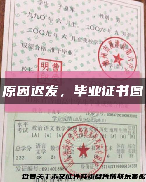 原因遲發，畢業證書圖縮略圖