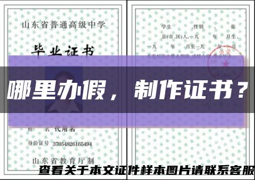 哪里辦假，制作證書？縮略圖