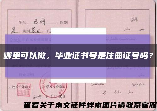 哪里可以做，畢業證書號是注冊證號嗎？縮略圖