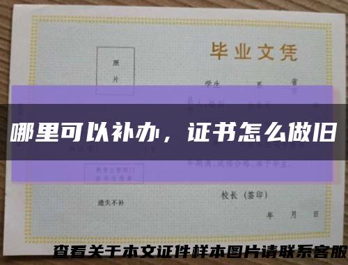 哪里可以補辦，證書怎么做舊縮略圖