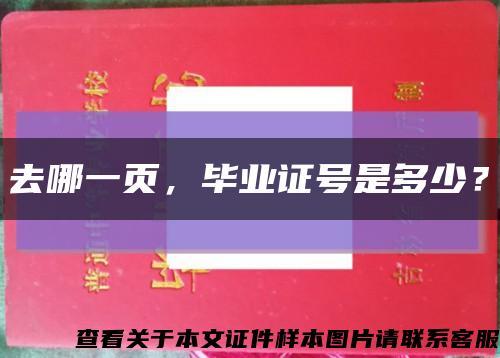 去哪一頁，畢業證號是多少？縮略圖
