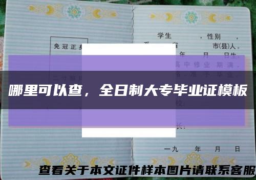 哪里可以查，全日制大專畢業證模板縮略圖