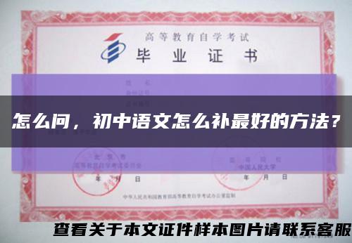 怎么問，初中語文怎么補最好的方法？縮略圖